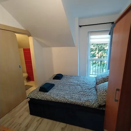 Koral